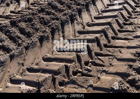 Tracce di un trattore o di altre grandi macchine sul terreno nel campo, un gran numero di tracce di veicoli pesanti sulla strada Foto Stock