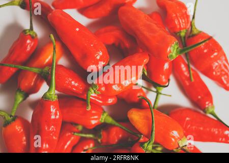 Piccante e forte; benefici per la salute del peperoncino rosso Foto Stock