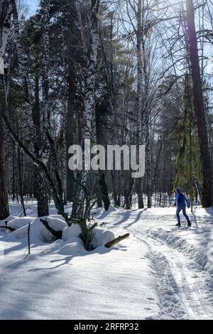 Il sole proietta lunghe ombre su un'ampia pista sciistica con uno sciatore in lontananza in una foresta di betulle innevata Foto Stock