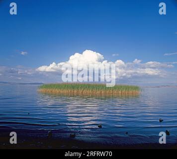 Australia. Nuovo Galles del Sud. Regione di Goulburn. Lake George. Foto Stock