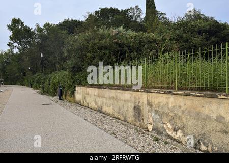 Passeggiata panoramica accanto a una riva del lago delimitata da un parco su un tramonto nuvoloso Foto Stock