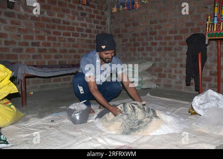 09-12-2021 Indore, Madhya Pradesh, India. Agricoltore indiano che mescola diversi elementi fertilizzanti nel letame, a casa. messa a fuoco selettiva Foto Stock