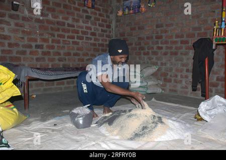 09-12-2021 Indore, Madhya Pradesh, India. Agricoltore indiano che mescola diversi elementi fertilizzanti nel letame, a casa. messa a fuoco selettiva Foto Stock