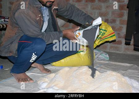 09-12-2021 Indore, Madhya Pradesh, India. Agricoltore indiano che mescola diversi elementi fertilizzanti nel letame, a casa. messa a fuoco selettiva Foto Stock