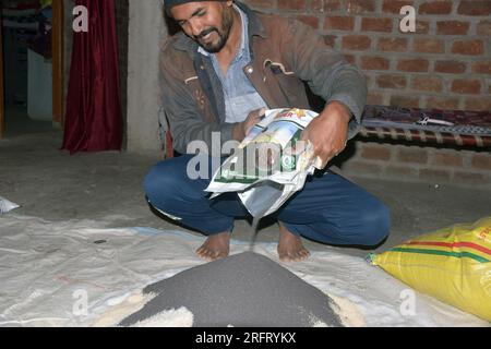09-12-2021 Indore, Madhya Pradesh, India. Agricoltore indiano che mescola diversi elementi fertilizzanti nel letame, a casa. messa a fuoco selettiva Foto Stock