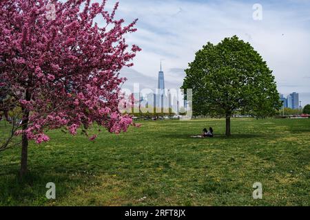 Fioritura della tranquillità al Liberty State Park, Jersey City. Picnic sotto i ciliegi in fiore, lo skyline di Manhattan a distanza. Natura e grazia urbana si uniscono. Foto Stock