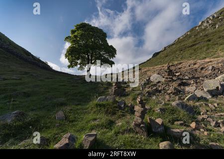 Paesaggio nel nord dell'Inghilterra con parte del muro di Hadirans. Foto Stock