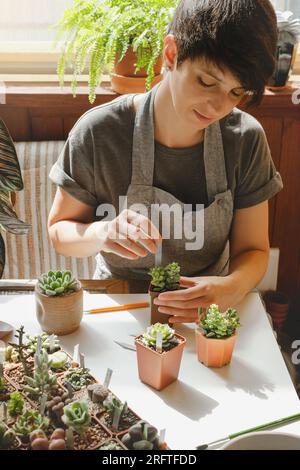 Etichettatura di piante grasse in vasi in vendita. Donna laorista che scrive titoli per piante da casa nella propria collezione. Concetto di hobby e piccola impresa. Repotting Foto Stock