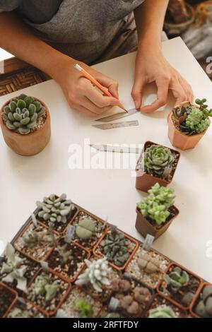 Etichettatura di piante grasse in vasi in vendita. Donna laorista che scrive titoli per piante da casa nella propria collezione. Concetto di hobby e piccola impresa. Repotting Foto Stock