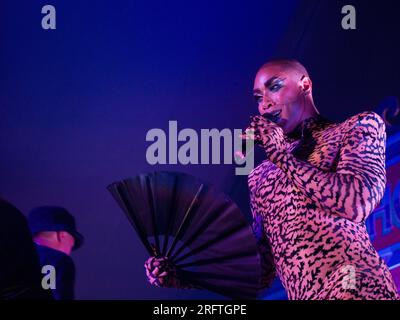 Wilderness Festival, Charlbury, Regno Unito. 5 agosto 2023. Artisti nella Casa del Sublime il sabato sera del festival di quattro giorni che celebra l'arte, la cultura e la musica. Crediti: Andrew Walmsley/Alamy Live News Foto Stock