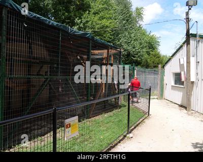 Louisburg, Kansas - 5 agosto 2023: Cedar Cove Feline Conservation & Education Center Foto Stock