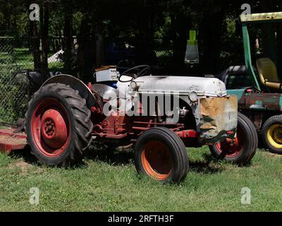 Louisburg, Kansas - 5 agosto 2023: Cedar Cove Feline Conservation & Education Center Foto Stock