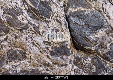 Sfondo metamorfico Gneiss rock con texture e strati in bianco e nero. Da diorite al quarzo a gneiss monzonite al quarzo. Foto Stock