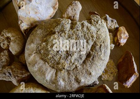 Tour enologico nelle cantine della denominazione Pouilly-fumi, esempi di terreni di vigneti della denominazione Pouilly-fumi, ciottoli di selce, argilla, caillottes limeston Foto Stock