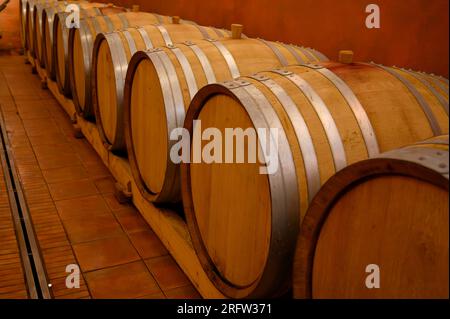 Cantine sotterranee con botti per l'invecchiamento del vino rosso secco nel villaggio di produzione di vino Chateauneuf-du-Pape in Francia, con vigneti verdi su un grande peb Foto Stock