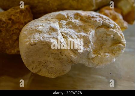 Tour enologico nelle cantine della denominazione Pouilly-fumi, esempi di terreni di vigneti della denominazione Pouilly-fumi, ciottoli di selce, argilla, caillottes limeston Foto Stock