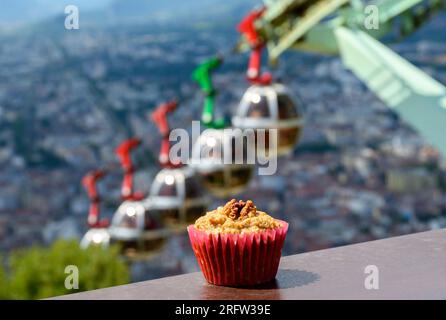 Gateau Grenoblois, torta di caffè alla noce francese, specialità di Grenoble e vista sulla parte centrale della città di Grenoble dai fortini della Bastiglia con le montagne A. Foto Stock