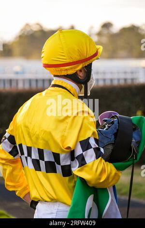 Jockey che indossa seta gialla in piedi nel paddock dopo aver vinto la gara. Corse di cavalli in Australia. Foto Stock