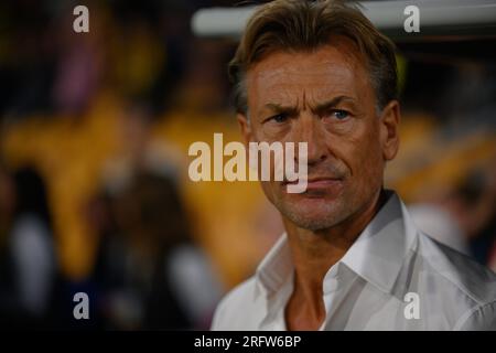 Suncorp Stadium, Brisbane - luglio 29 2023: Hervé Renard, manager della Francia femminile alla Coppa del mondo FIFA 2023 Foto Stock