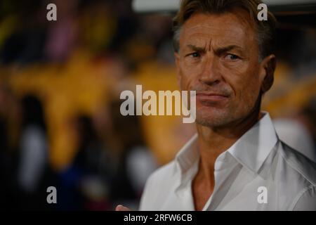 Suncorp Stadium, Brisbane - luglio 29 2023: Hervé Renard, manager della Francia femminile alla Coppa del mondo FIFA 2023 Foto Stock