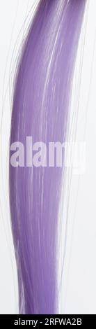 Vista ravvicinata macro di sfondo viola liscio Foto Stock