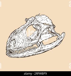 illustrazione vettoriale della testa del cranio di iguana Illustrazione Vettoriale