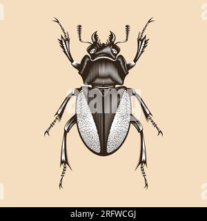 Disegno piatto vettoriale illustrazione Lucanus Cervus femmina Illustrazione Vettoriale
