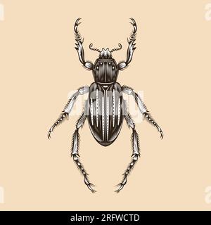 Ancistrosoma Klugi illustrazione disegno piatto vettoriale Illustrazione Vettoriale