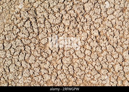Parte di un'enorme area ha essiccato terreni che soffrono di crepe dovute alla siccità. Foto Stock