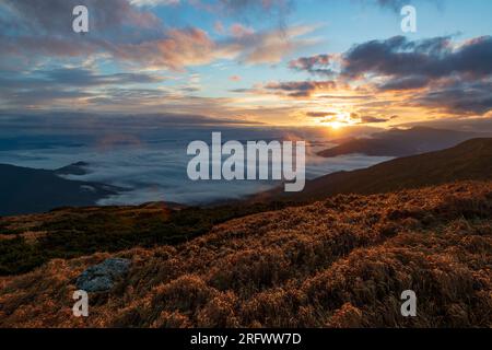 Una mattinata fantastica in montagna. I primi raggi di sole nascente illuminano l'erba selvatica sulle colline e sulle valli nebbiose. Paesaggio panoramico all'aperto Foto Stock