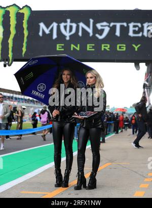 Grid Girls davanti al Gran Premio britannico Monster Energy 2023 a Silverstone, Towcester. Data foto: Domenica 6 agosto 2023. Foto Stock