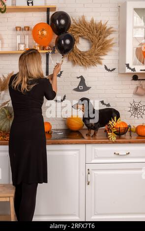 Un cane da dachshund vestito da strega con un'amante decora la casa per Halloween. Preparatevi a festeggiare il giorno di tutti i Santi e a preparare Jack's Lanter Foto Stock