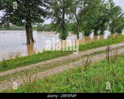 06.08.2023. Alto livello dell'acqua del fiume Drava vicino a Donja Dubrava, Croazia. L'acqua ha attraversato il letto del fiume e minaccia l'insediamento. Foto Stock