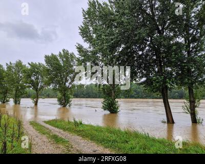 06.08.2023. Alto livello dell'acqua del fiume Drava vicino a Donja Dubrava, Croazia. L'acqua ha attraversato il letto del fiume e minaccia l'insediamento. Foto Stock