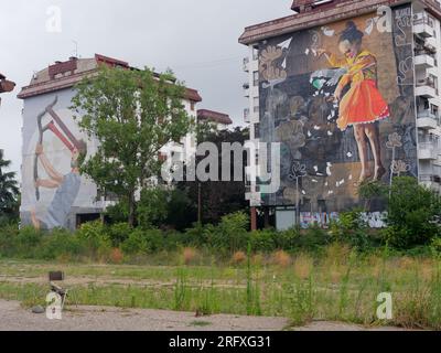 Grande Street art colorata ai lati degli edifici nella capitale Belgrado, Serbia. 6 agosto 2023. L'erba cresce in primo piano. Foto Stock