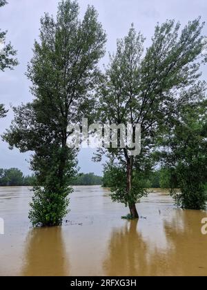 06.08.2023. Alto livello dell'acqua del fiume Drava vicino a Donja Dubrava, Croazia. L'acqua ha attraversato il letto del fiume e minaccia l'insediamento. Foto Stock