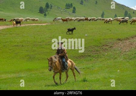 Erdenet, Mongolia - 18 luglio 2023: Un pastore a cavallo con il suo branco nella steppa mongola, Erdenet, Mongolia. Foto Stock