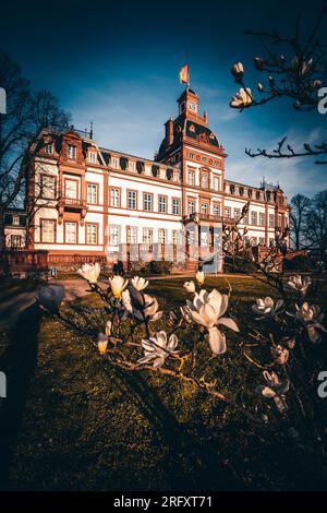 Il castello Philippsruhe ad Hanau, in Germania, un bellissimo castello sul fiume principale, grandi nubi e alberi in perfetta perfezione al tramonto o all'alba Foto Stock