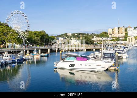 Torquay Devon Torbay yacht e barche di lusso ormeggiati al Torquay Marina con Torquay Wheel Torquay Devon English Riviera England UK GB Europe Foto Stock