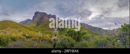 Stirling Range o paesaggio paesaggistico di Koikyennuruff, splendido parco nazionale di montagna nell'Australia Occidentale, con la vetta più alta del Bluff Knoll. Panorama Foto Stock