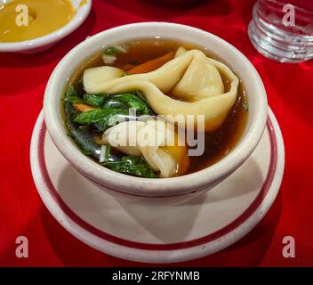 Wantagh, NY - USA - 22 luglio 2022 Vista orizzontale di un classico cinese, Wonton Soup. Un brodo con un wonton ripieno di carne. Foto Stock