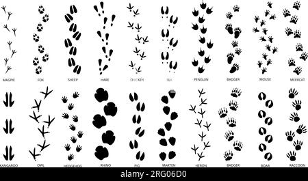 Le impronte di animali tracciano le silhouette nere. Impronte di pedine, impronta animale isolata. Passi per animali domestici, diverso carattere selvaggio passo passo passo decente Illustrazione Vettoriale