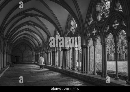 Bianco e nero della galleria del chiostro della cattedrale di Salisbury, la più grande del Regno Unito, Salisbury, Wiltshire, Inghilterra, Regno Unito Foto Stock