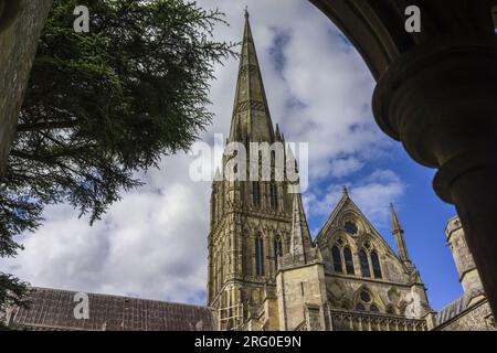 La Cattedrale di Salisbury, Wiltshire, Inghilterra, Regno Unito Foto Stock