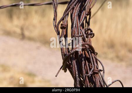 Primo piano della recinzione in filo spinato aggrovigliato Foto Stock