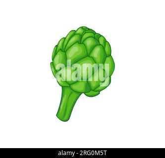 Illustrazione del vettore di carciofi disegnato a mano. Immagine vegetale in bocciolo di carciofo verde isolata su sfondo bianco Illustrazione Vettoriale