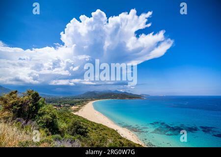 Spiaggia di Losari sull'isola di Corsica, Francia Foto Stock