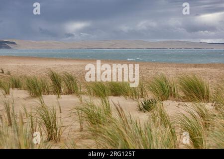 Baia di Arcachon e Capo Ferret in Aquitania. Oceano Atlantico, Francia Foto Stock