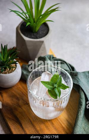 Alto angolo di vetro di acqua minerale con cubetti di ghiaccio e foglie di menta fresca poste su un vassoio di legno con piante in vaso e tovagliolo su sfondo grigio Foto Stock