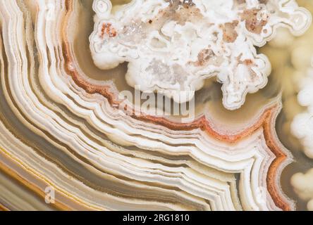 Fotografia macro del motivo di banding in un pazzo agate dal Messico Foto Stock